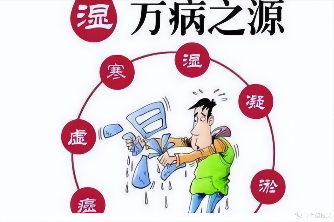 湿气克星集合：揭秘十种让湿气跑光的食物，让你由内而外变轻盈