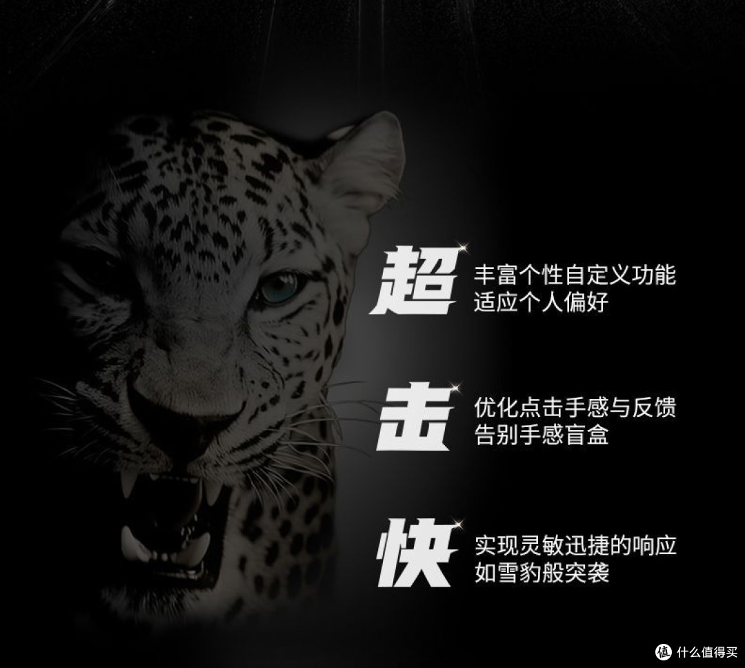 把GPW5雪豹放上桌面那一刻,我知道这“税”逃不掉了