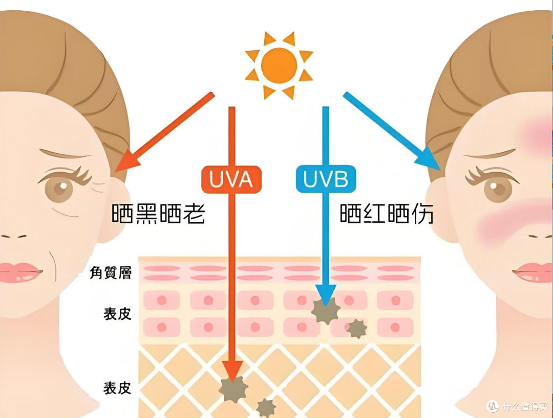 新手选防晒指南,学会2个指标:肤质状况与防晒场景,让你少踩坑