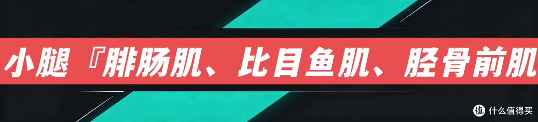 筋膜枪买对别浪费！全身放松标准操作｜避开无效击打