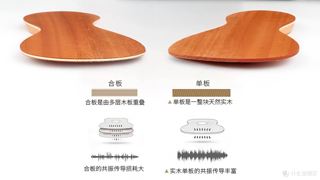 新手购琴避坑指南|分清板材木料,选对尤克里里少花冤枉钱