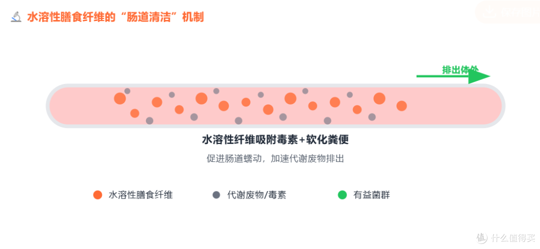 便秘、长痘、肚子大?可能是“肠道垃圾”没排尽,每天吃点它!