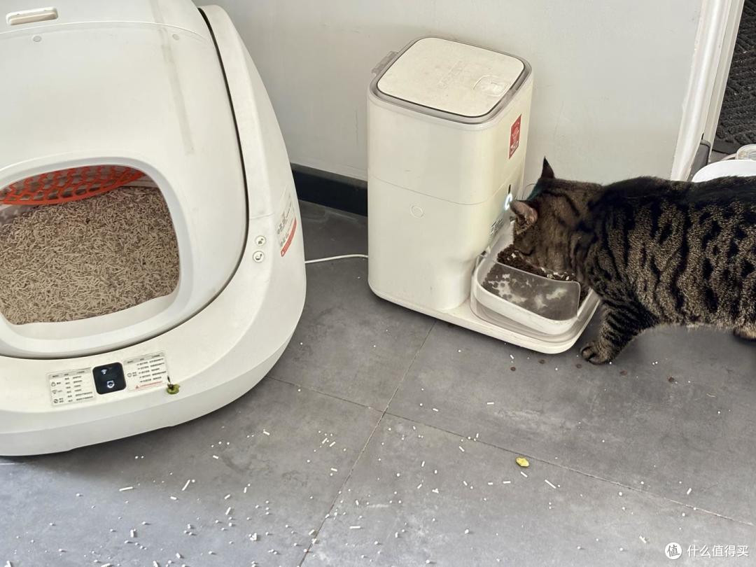 有娃又养猫扫地机太难选!云鲸JX百天实测,多成员家庭扫地机参考