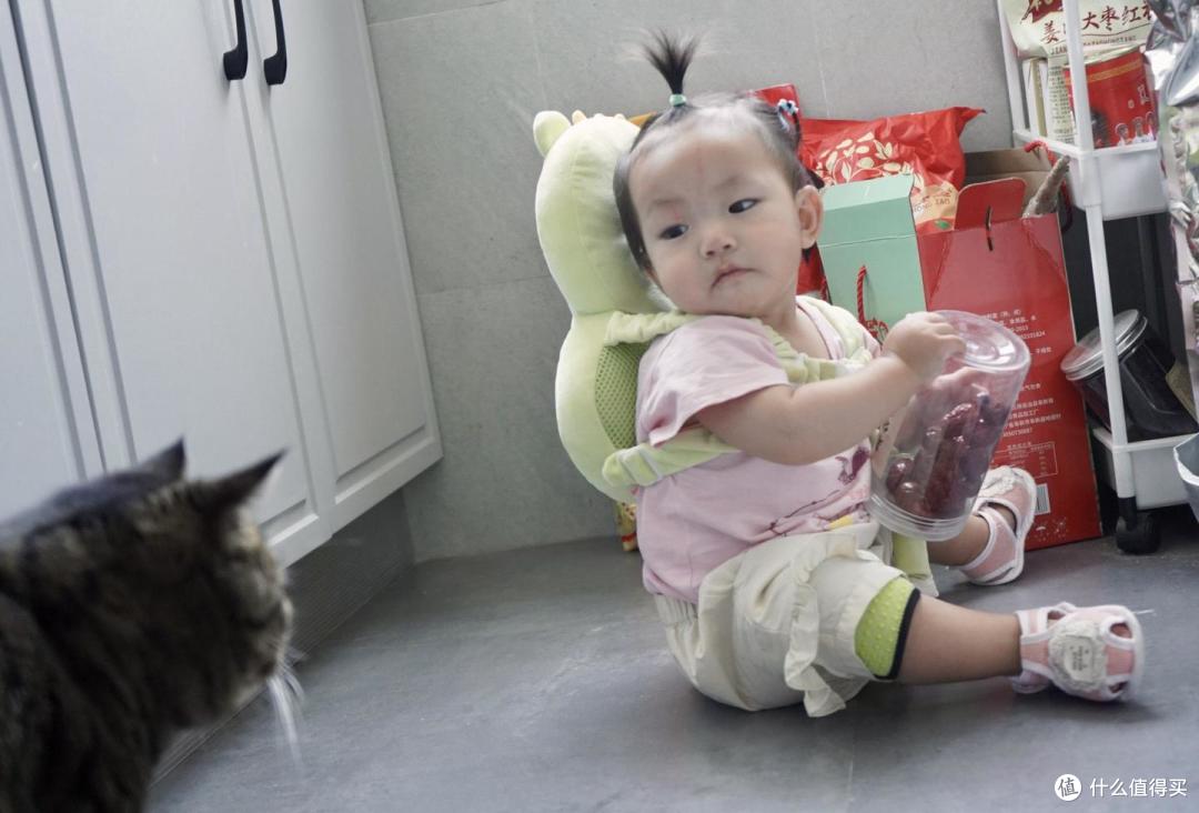有娃又养猫扫地机太难选!云鲸JX百天实测,多成员家庭扫地机参考