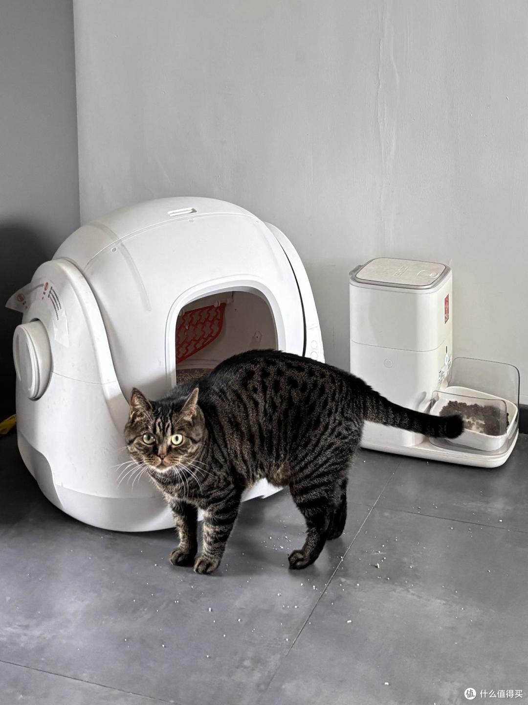 有娃又养猫扫地机太难选!云鲸JX百天实测,多成员家庭扫地机参考