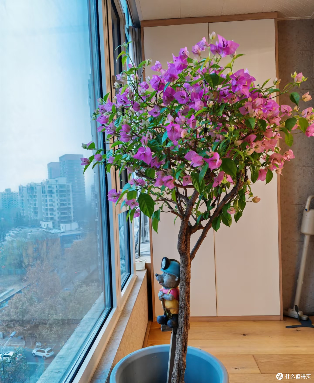 养花35年,发现6种“喜湿花”,秋后天天浇都不够,越浇开花越多