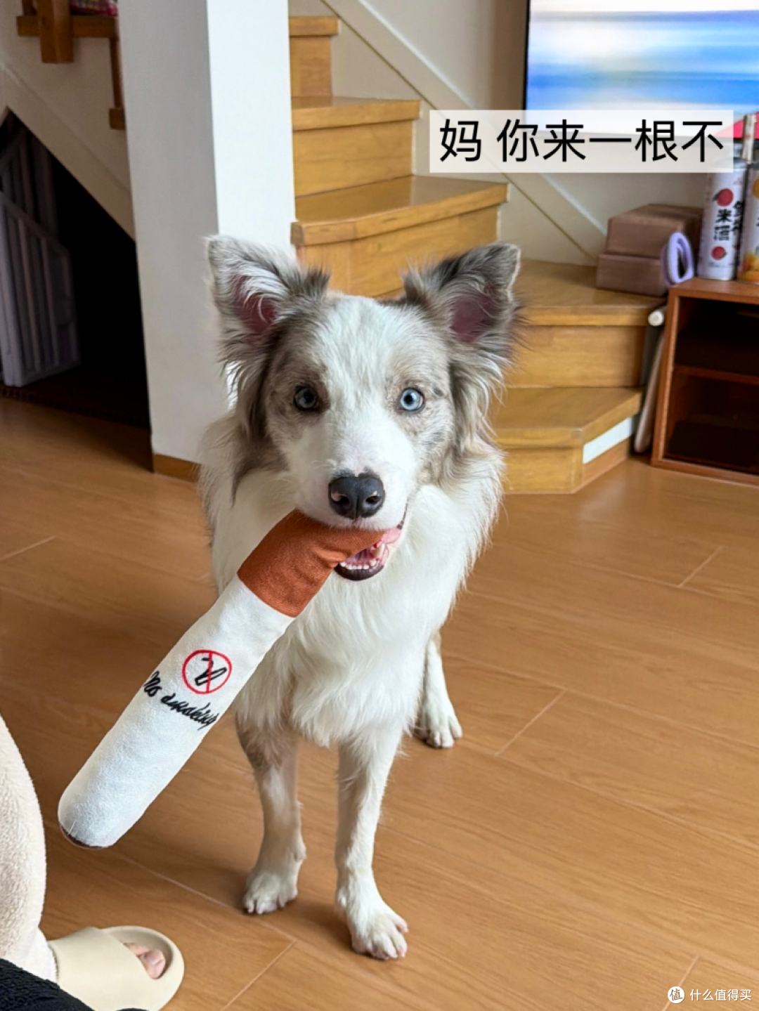 配图