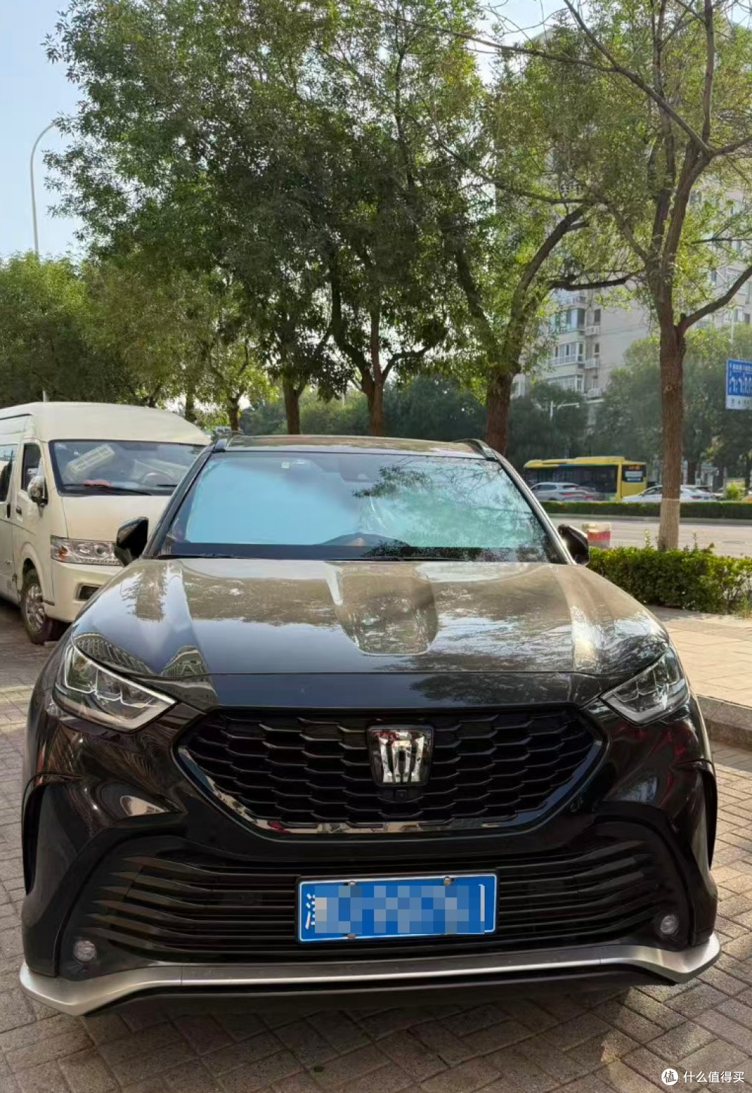 说走就走,能带着毛孩子一起看更广阔的世界——车让生活更有意义