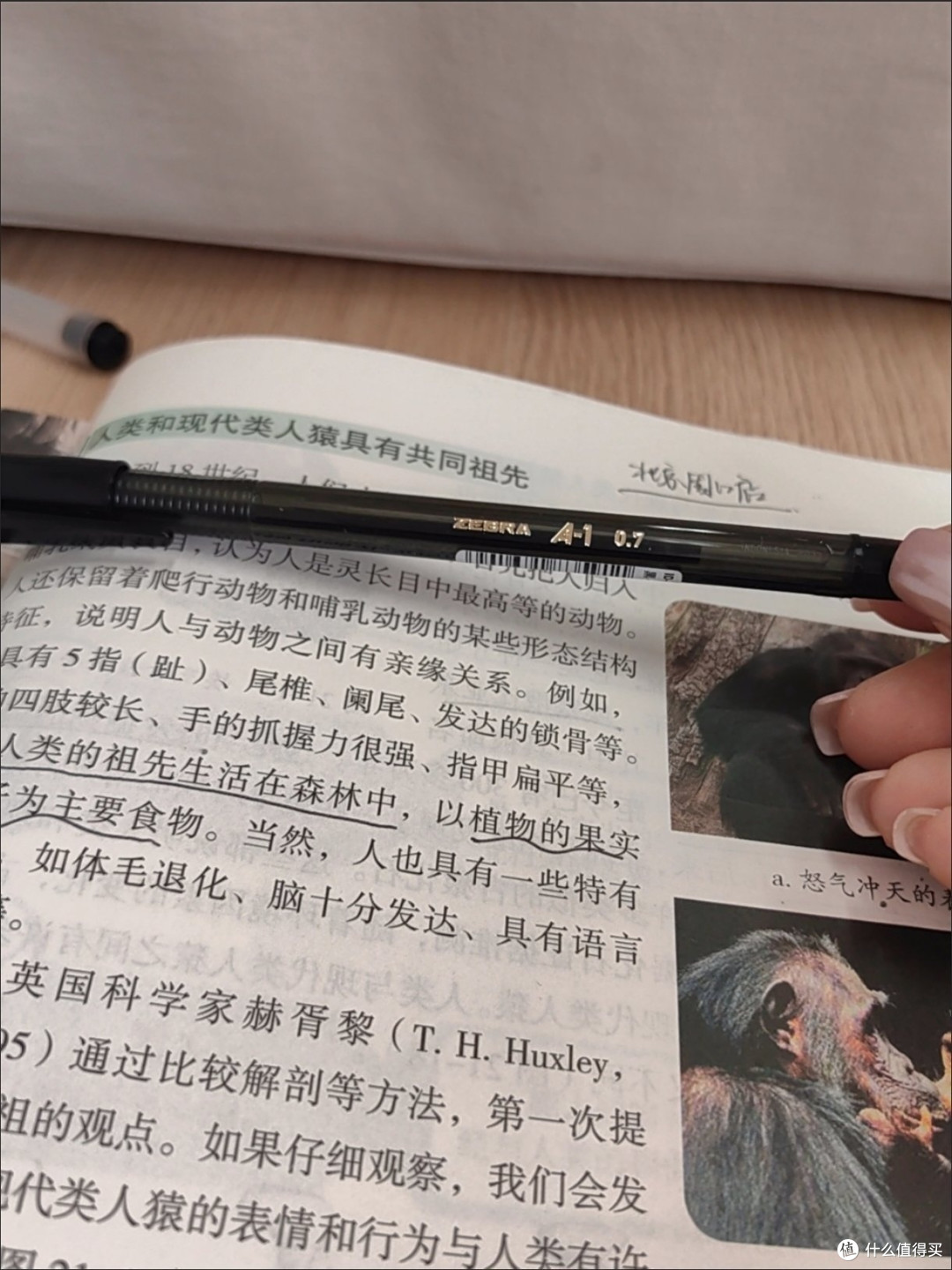 百乐啄木鸟0.7mm中油笔深度体验