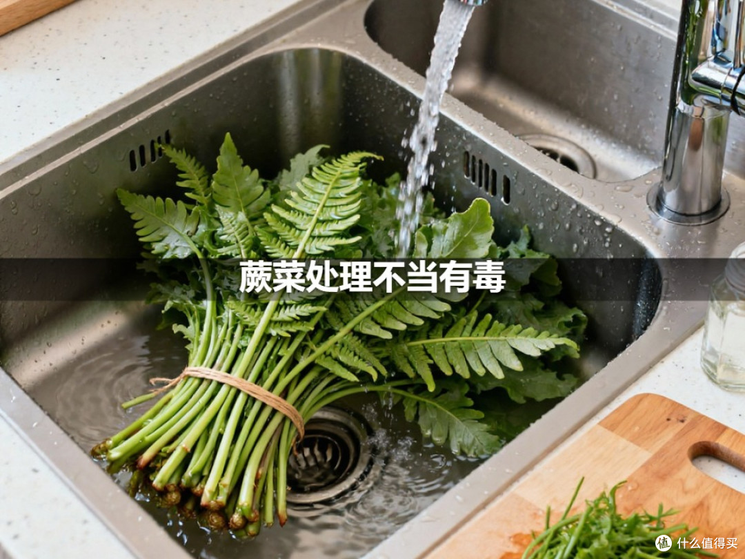 蕨菜处理不当有毒