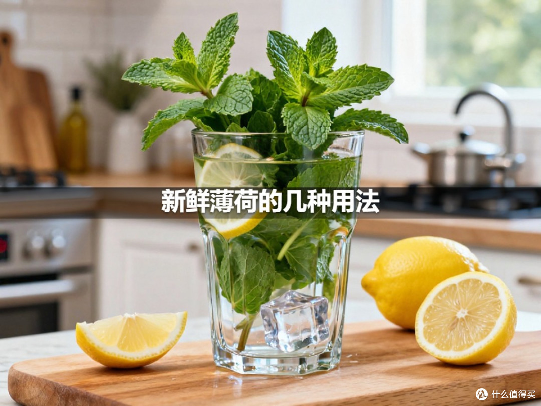 新鲜薄荷的几种用法