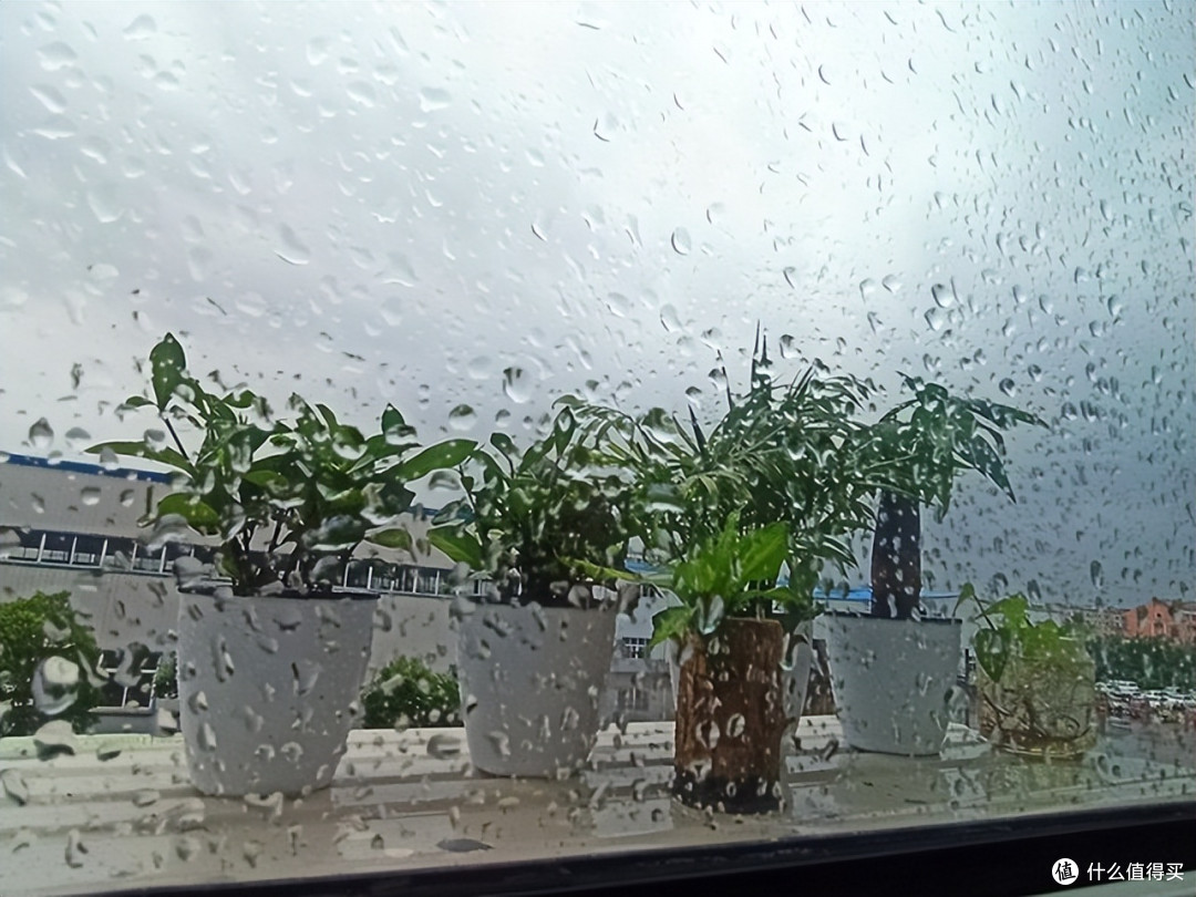 居家办公的梅雨季,我靠这台除湿机保住了工作效率