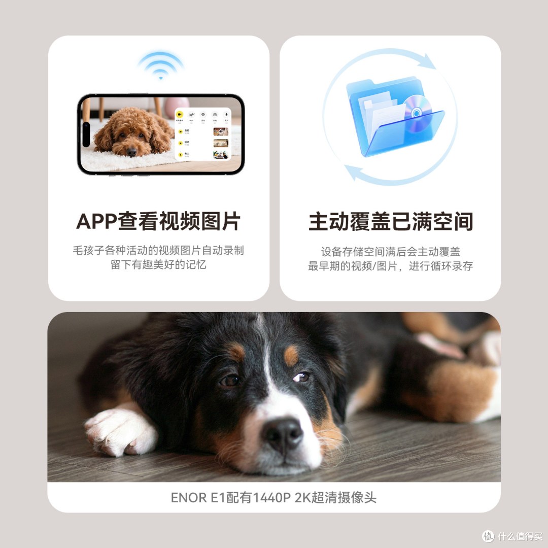 会跑的宠物摄像头值得买吗?ENOR E1真实体验,上班族刚需