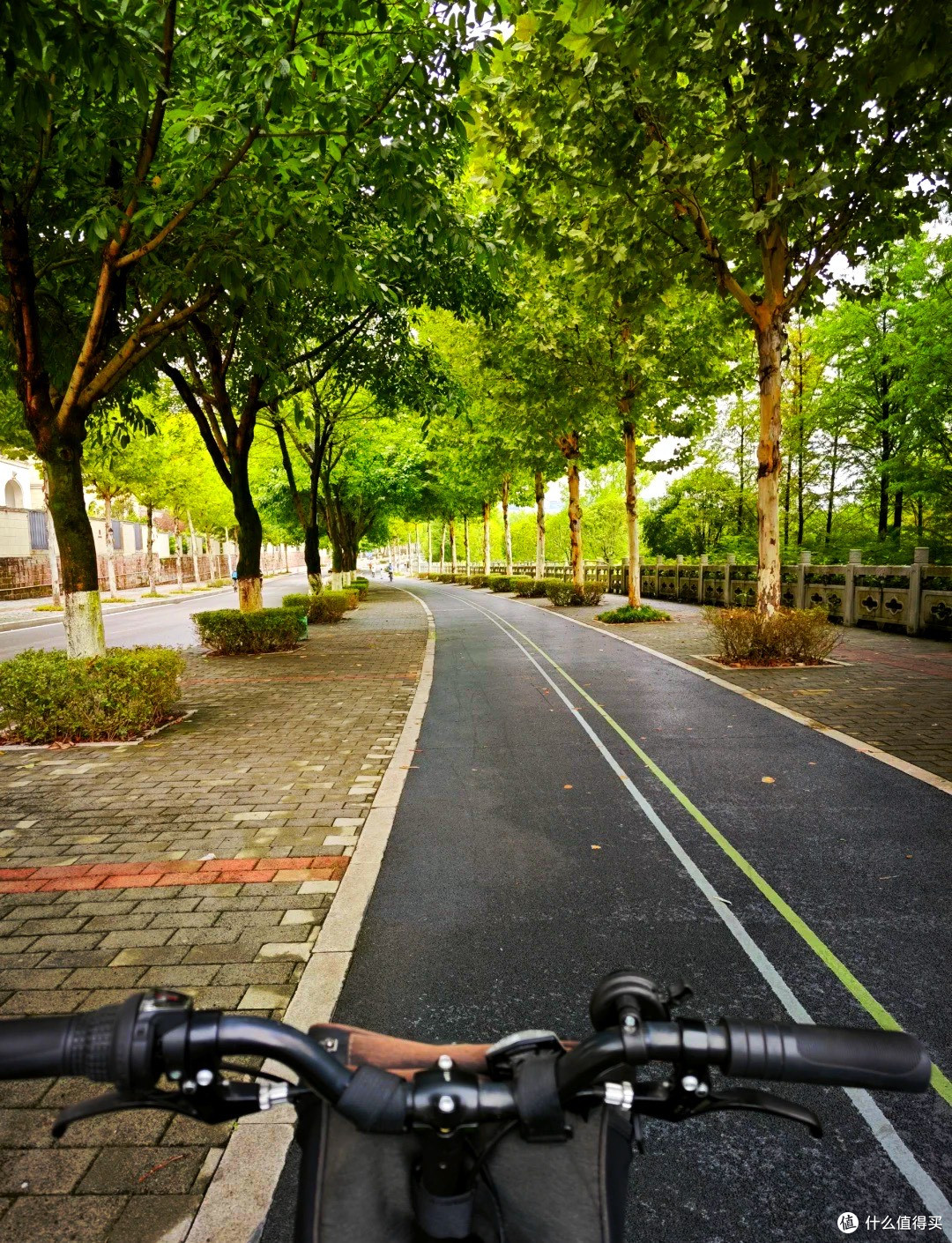 从62kg到58kg,骑行通勤三个月,我的身体发生了“天壤之别”。