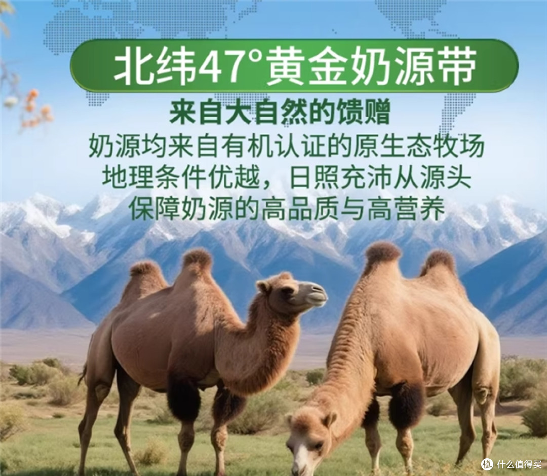 一罐 360 克驼粉的全链路追踪:我把迪奢思从牧场追到了检测台