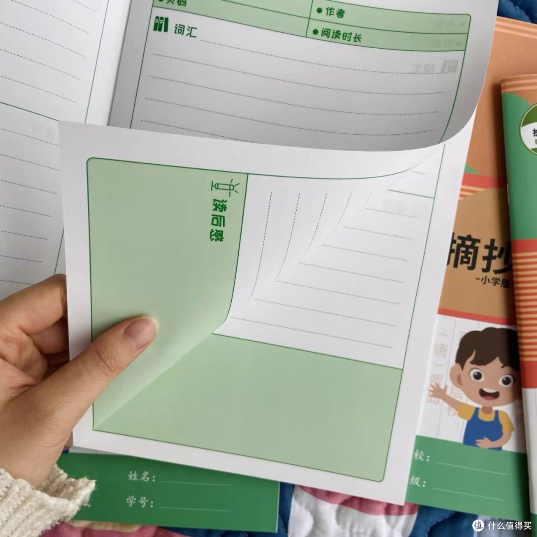备考笔记好帮手:金枝叶笔记本