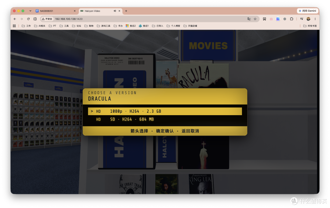 NAS电影库还能这么玩?走进自己的90年代录像店,真的能逛!