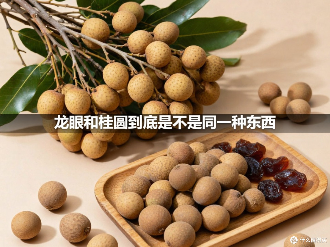 龙眼和桂圆到底是不是同一种东西