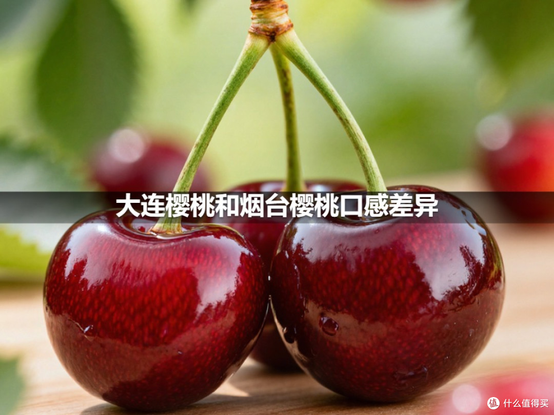 大连樱桃和烟台樱桃口感差异