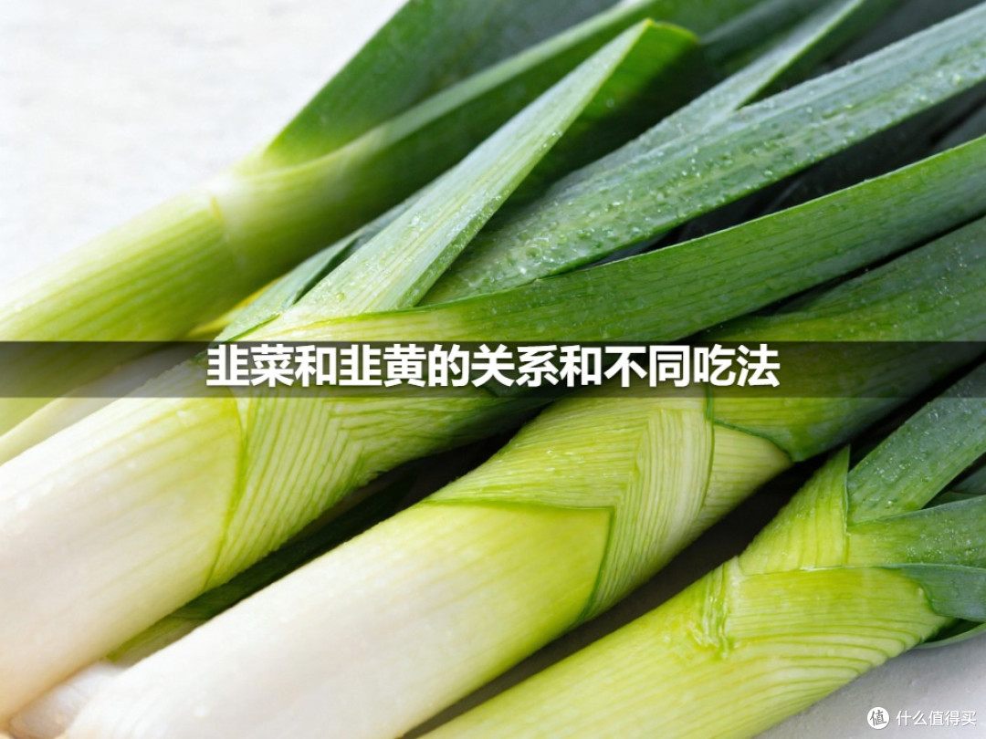 韭菜和韭黄的关系和不同吃法