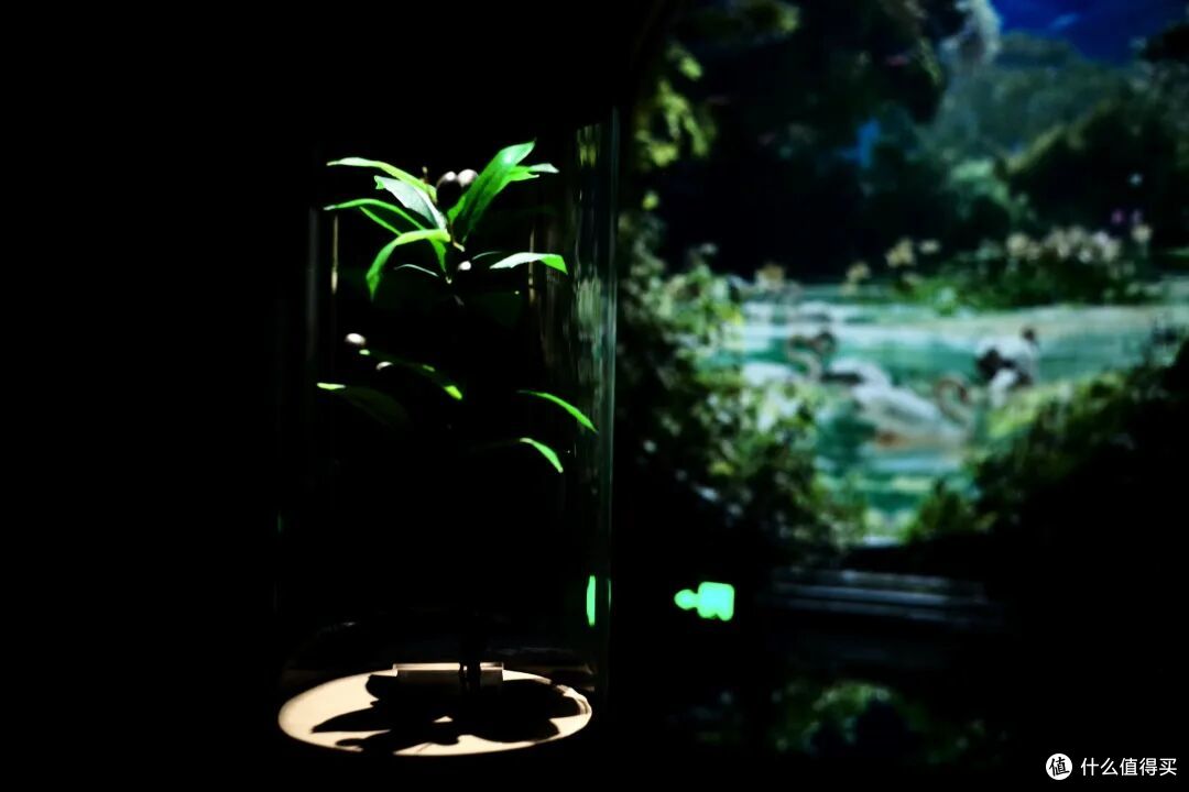 不花钱,不晒黑、不无聊!我找到了真正的避暑天花板!