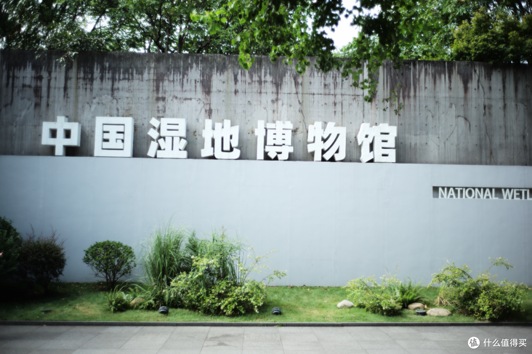 不花钱,不晒黑、不无聊!我找到了真正的避暑天花板!