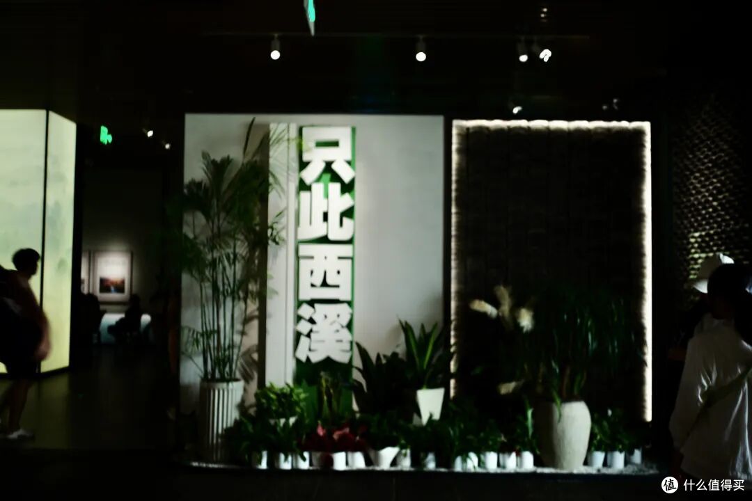 不花钱,不晒黑、不无聊!我找到了真正的避暑天花板!