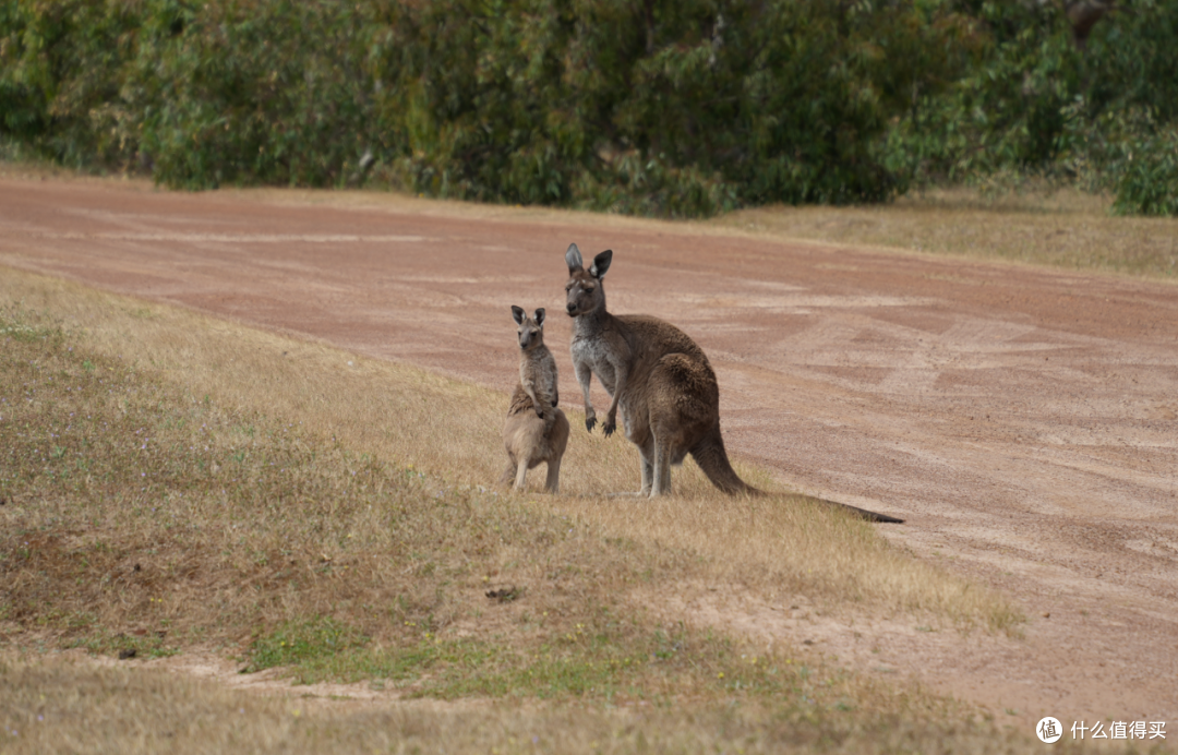 大利好!10年签证、新开直飞,这里好好玩也好精彩