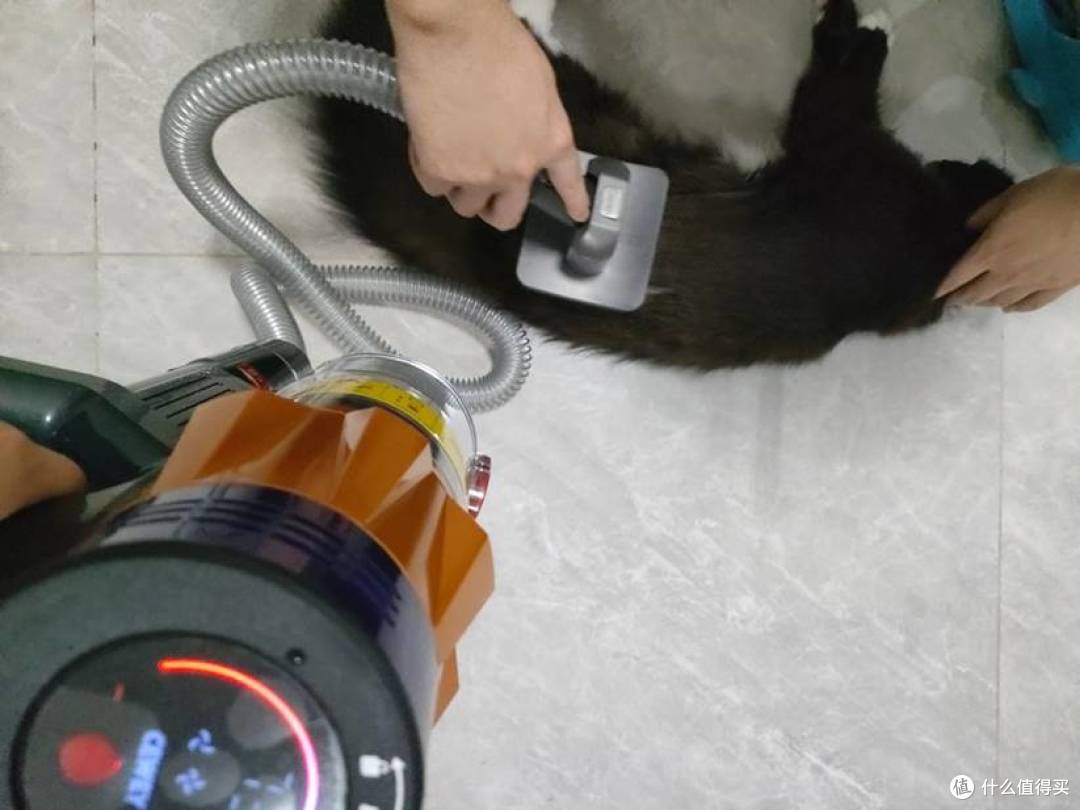 养猫家庭实测!2026年无线吸尘器怎么选?CEWEY DS18值得入手吗?