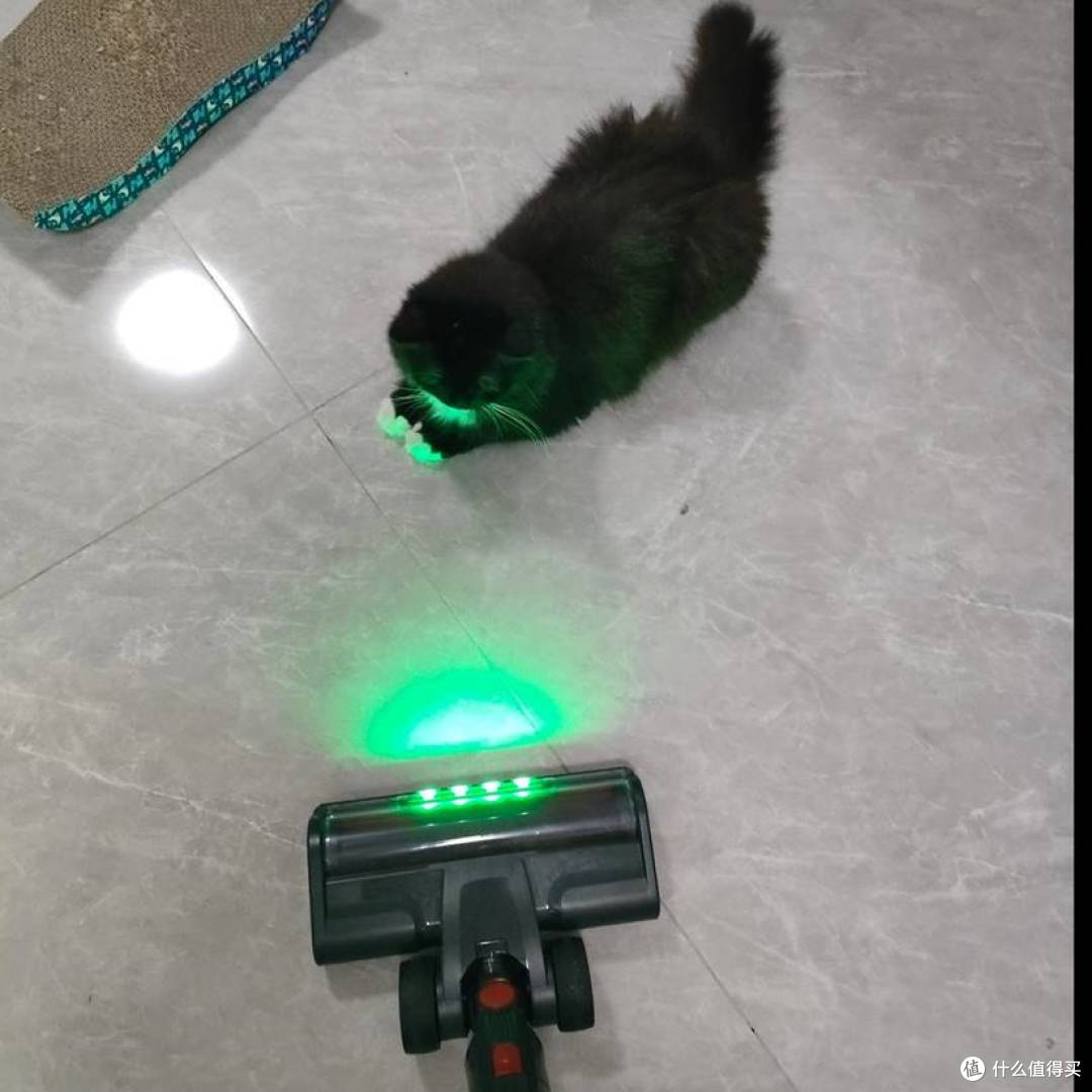 养猫家庭实测!2026年无线吸尘器怎么选?CEWEY DS18值得入手吗?