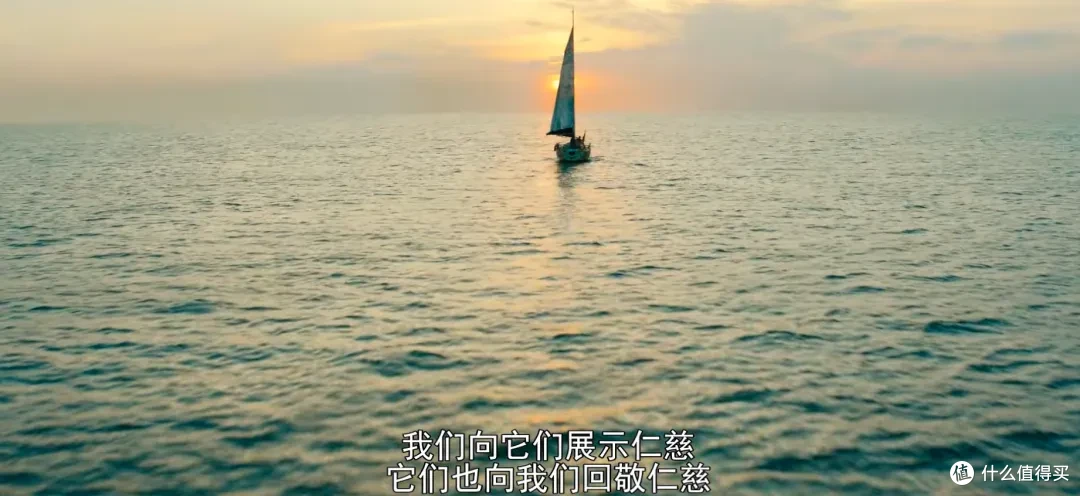 Netflix的R级新片，看麻了