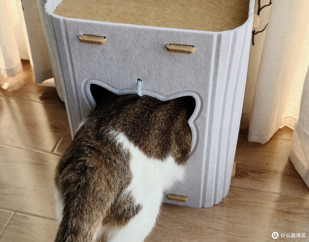 值得买定制猫窝！我家胖胖：本值友喵很满意！
