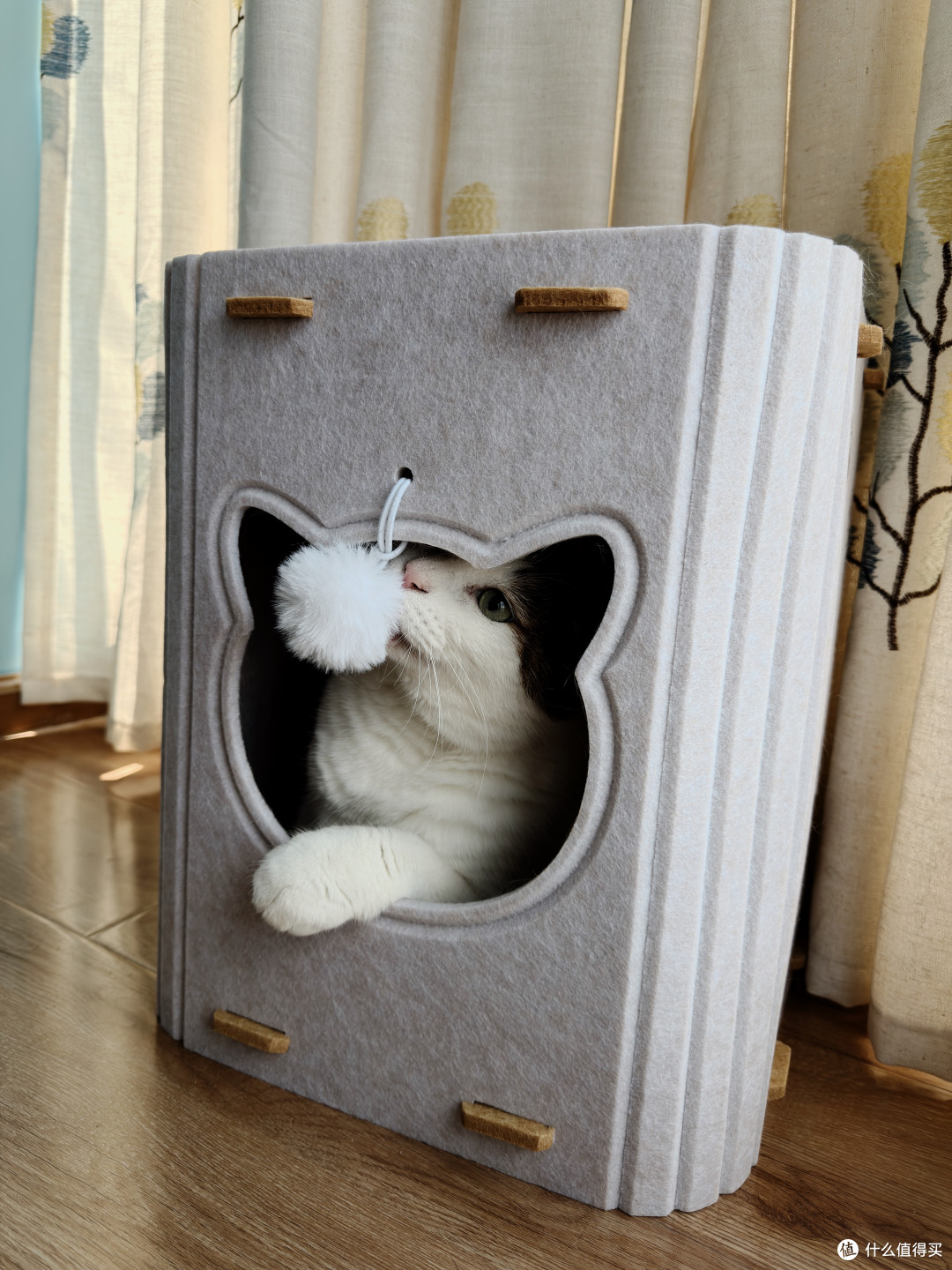 值得买定制猫窝！我家胖胖：本值友喵很满意！