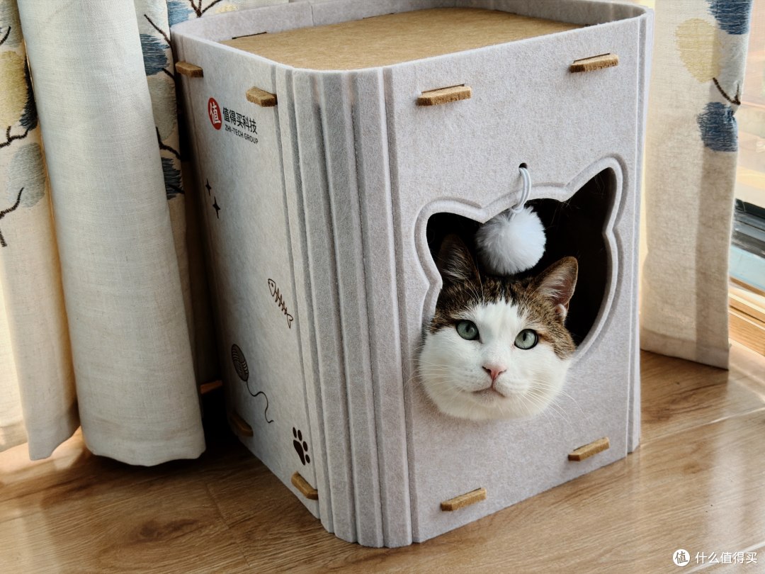 值得买定制猫窝！我家胖胖：本值友喵很满意！