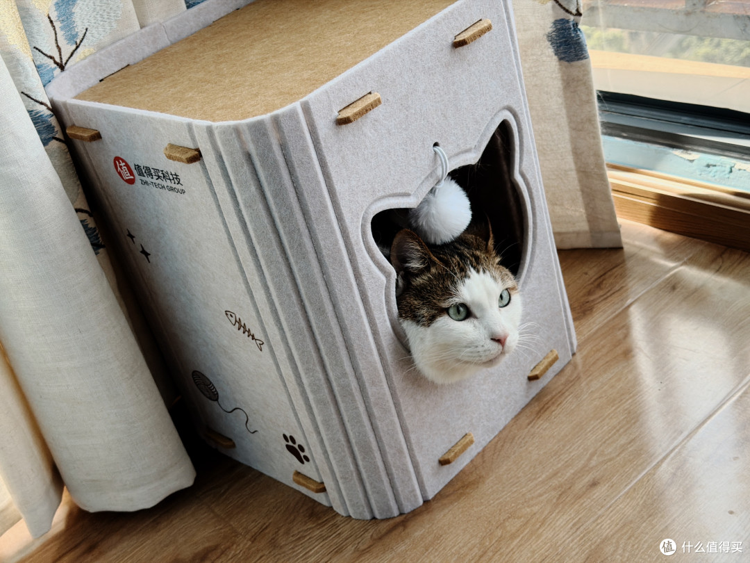 值得买定制猫窝！我家胖胖：本值友喵很满意！