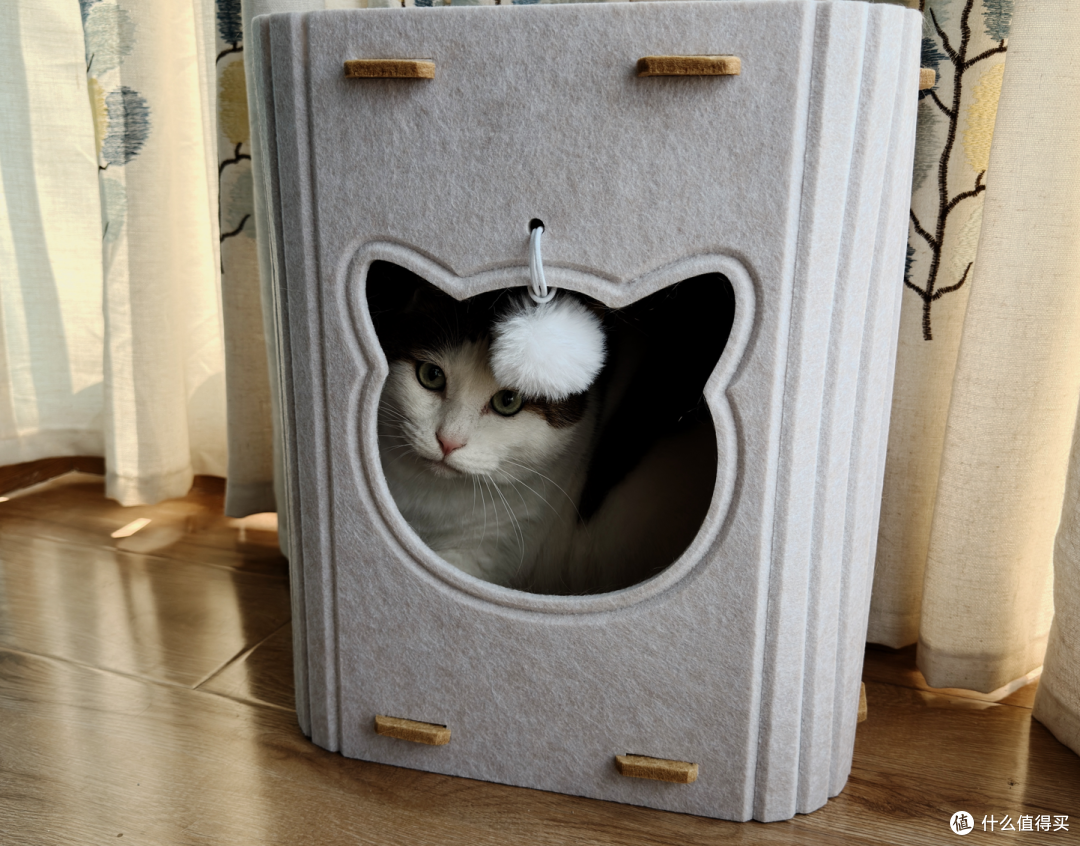 值得买定制猫窝！我家胖胖：本值友喵很满意！
