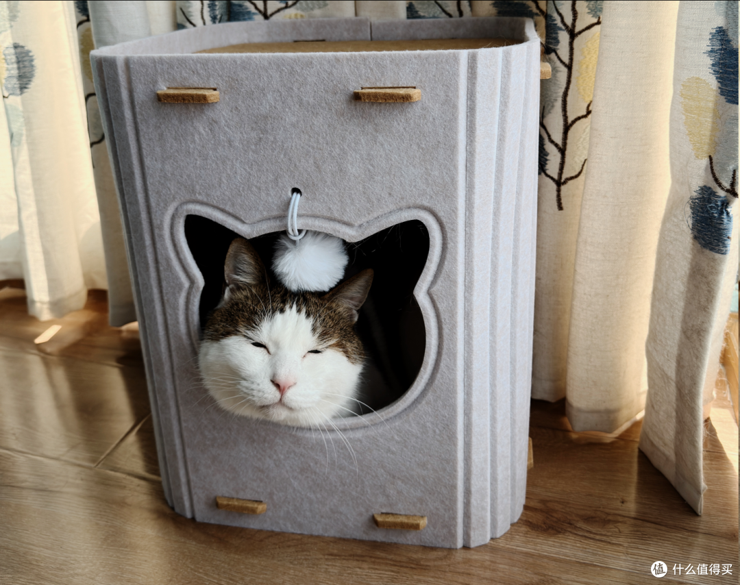 值得买定制猫窝！我家胖胖：本值友喵很满意！