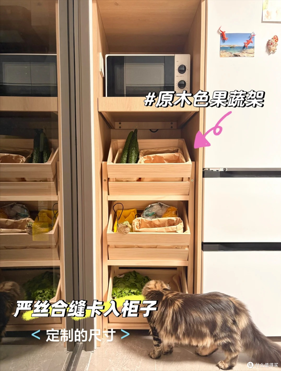买回来的菜放哪里?学广东阿姨的做法再也不用到处乱放,干净整洁