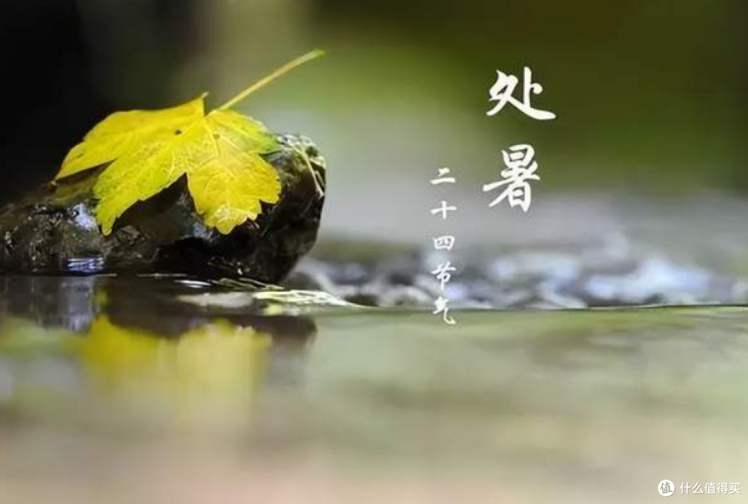 处暑到了,再忙也要记得给家人做5种“出暑汤”,败光火气过秋天