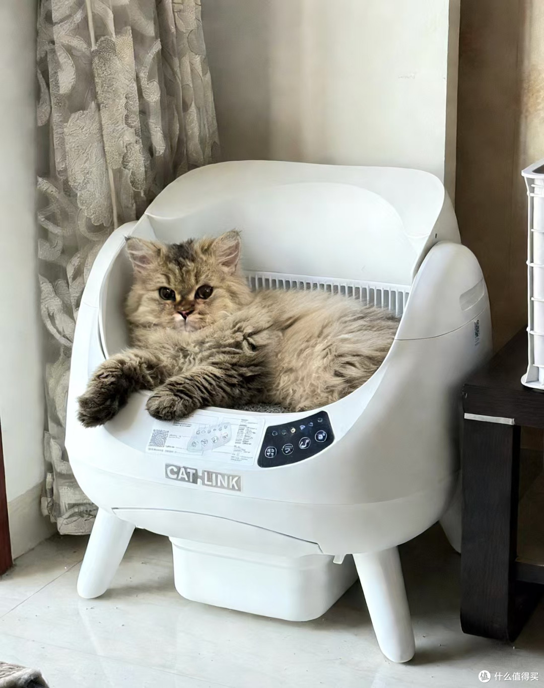 胖猫多猫家庭本命猫砂盆✨再也不用挤挤巴巴