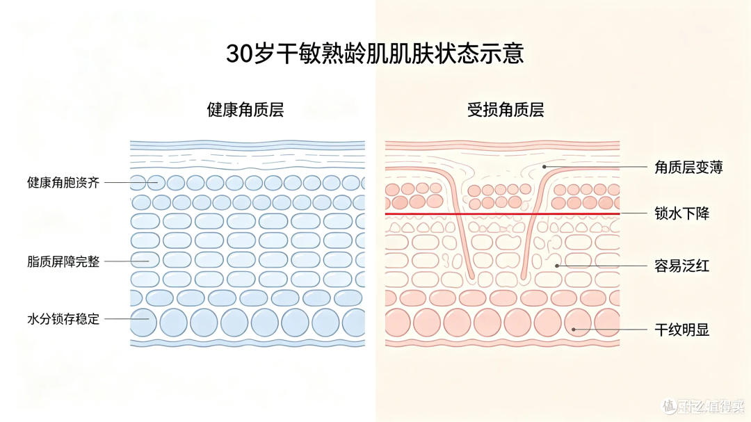 30 岁角质层变薄总拔干!夏季抗衰面霜选购清单,修护抗老两不误