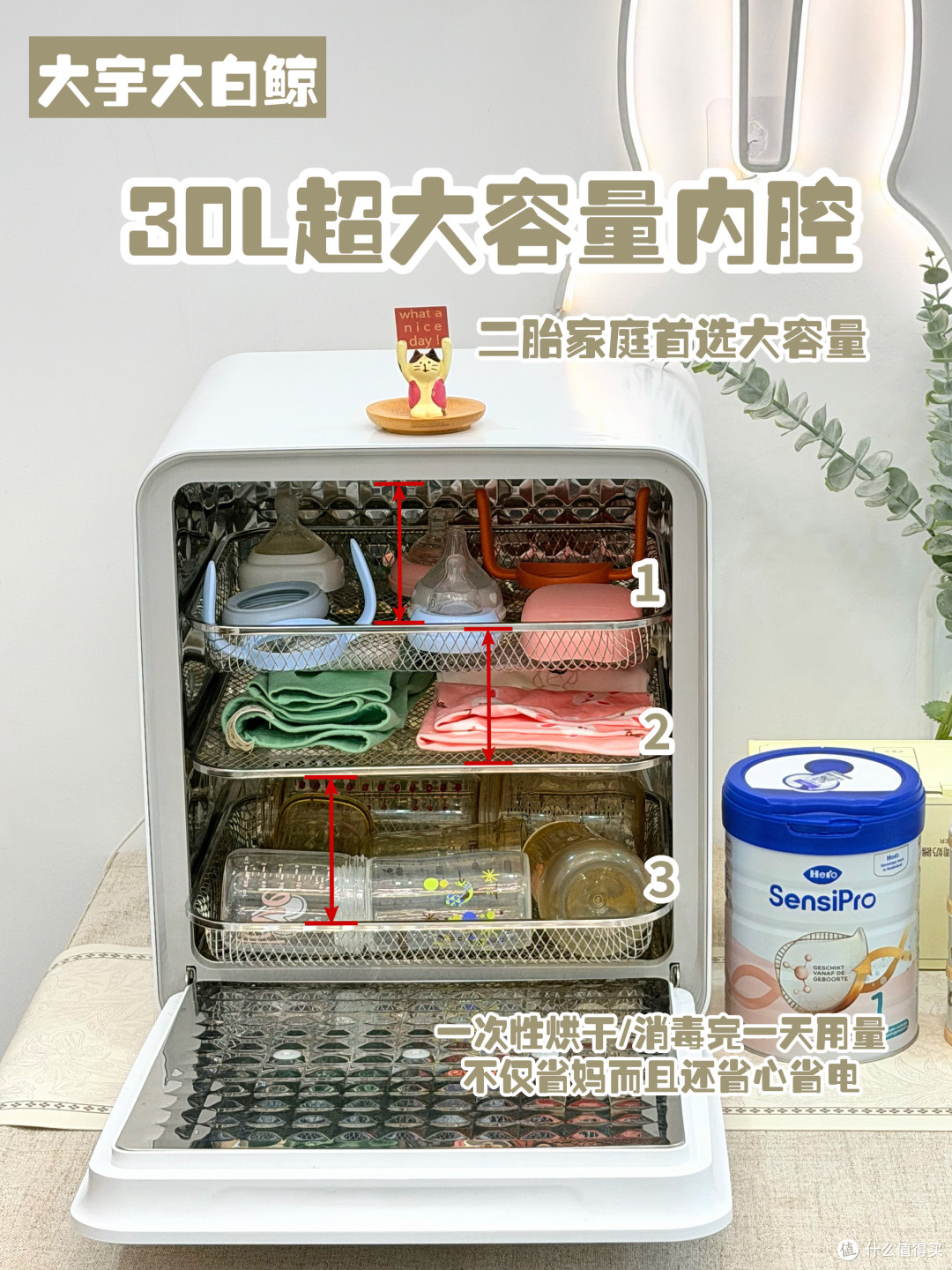 大宇大白鲸XD21深度测评：一个月使用全记录，消毒效果到底怎么样