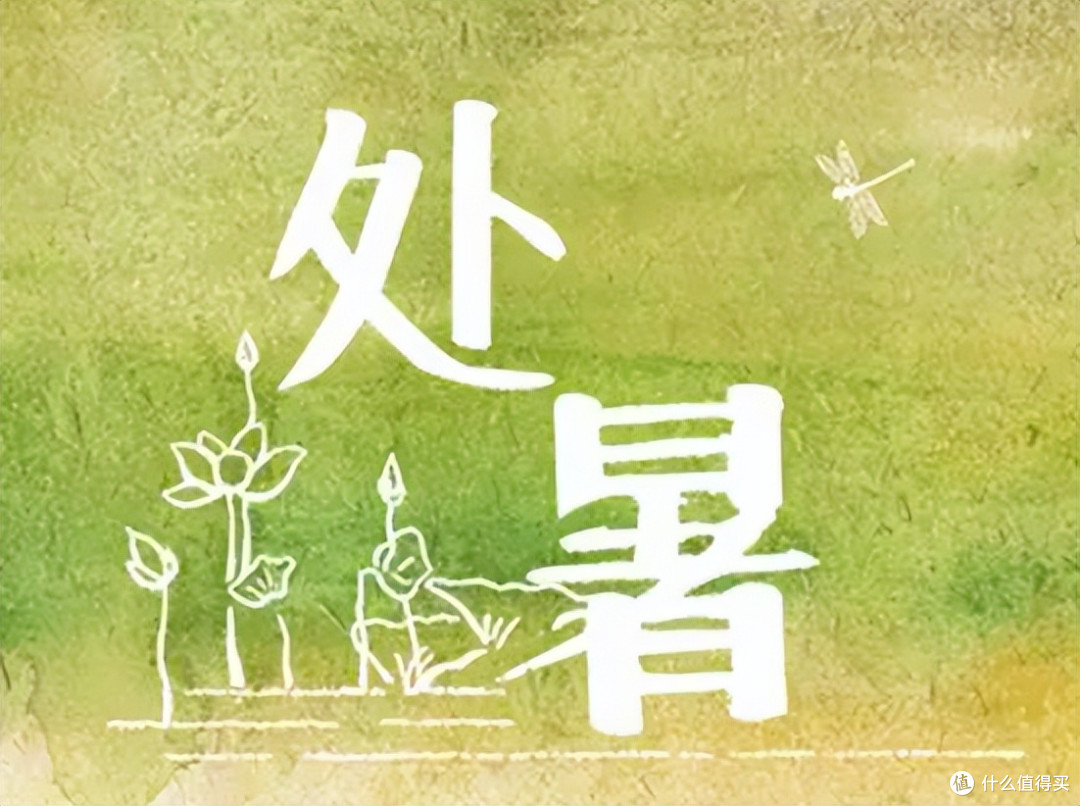 快处暑了,这“1豆2果3菜”记得端上桌,健康过秋全靠它们!