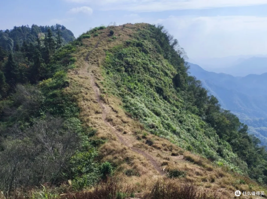 山野备忘录|"我听见你们喊我了,但不敢应声"——被困 30 小时的两位采药老人