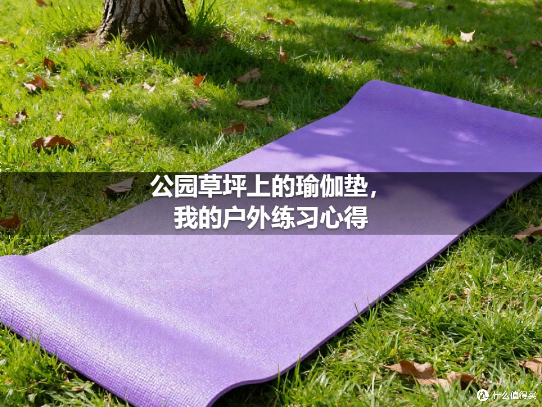 公园草坪上的瑜伽垫,我的户外练习心得