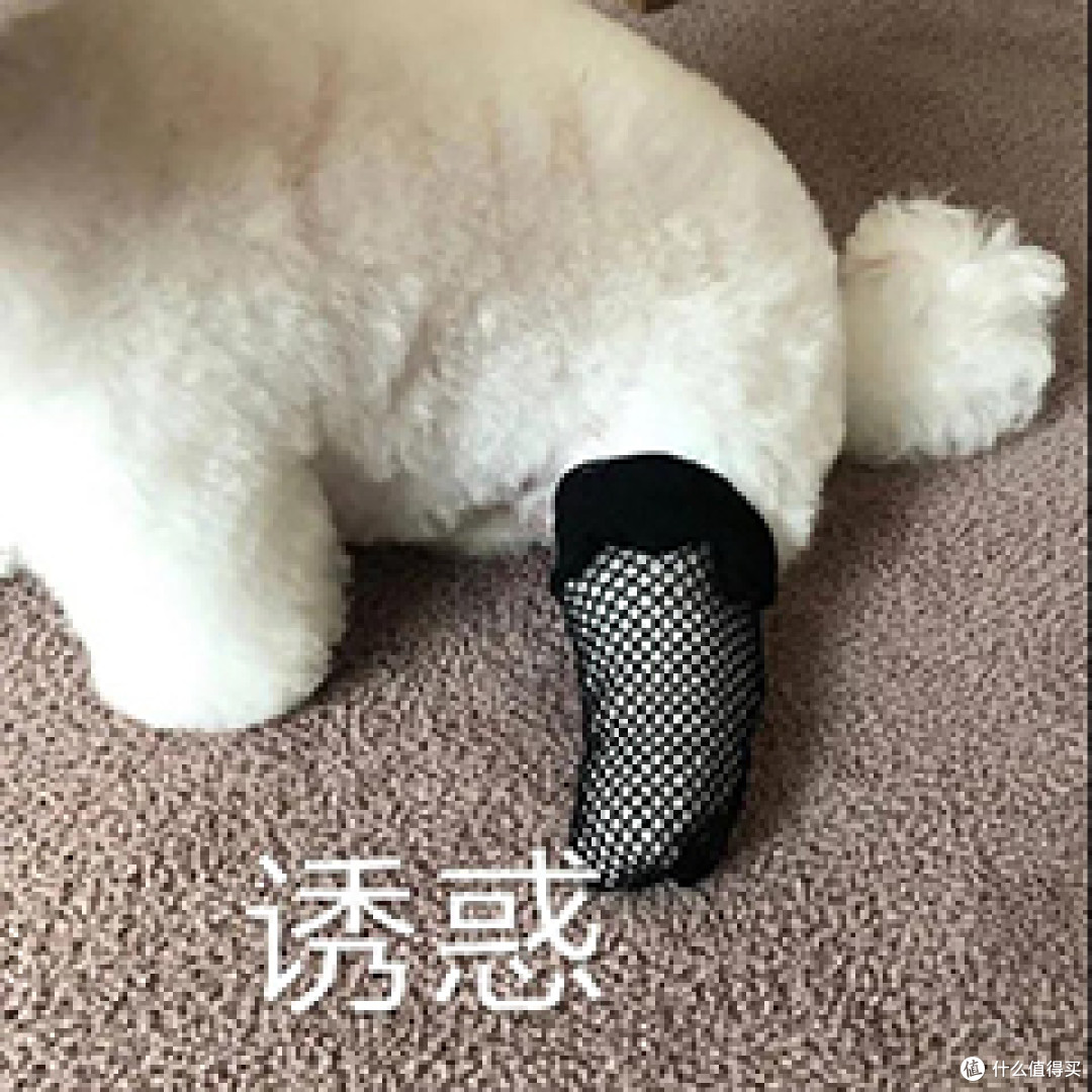 别问七夕穿什么,选对是战袍,选错是睡衣丨情趣内衣选购指南