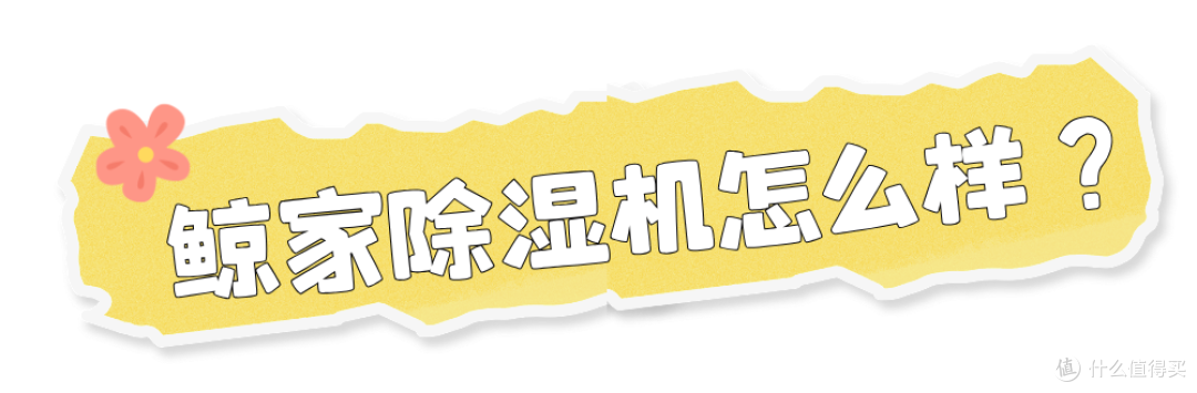 鲸家品牌怎么样?质量怎么样?售后怎么样?