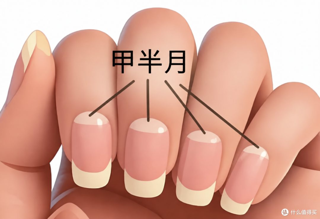 手上没有月牙,就是体虚?别被指甲传言骗了