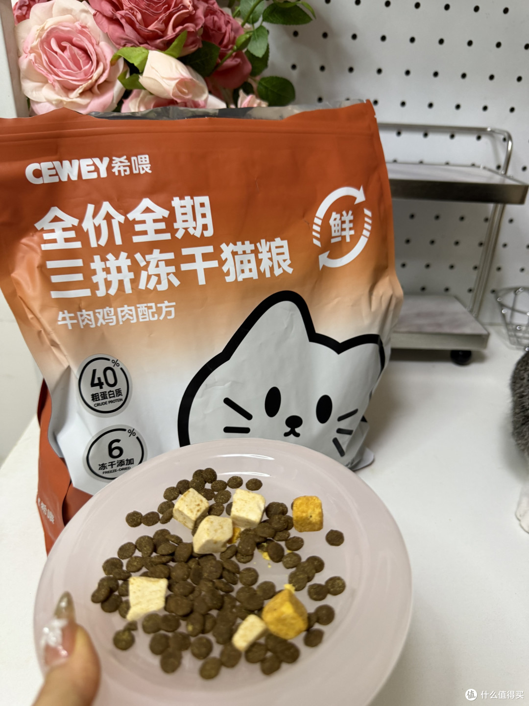 从“人吃啥猫吃啥”到“猫吃啥比人还讲究”:猫粮的百年进化