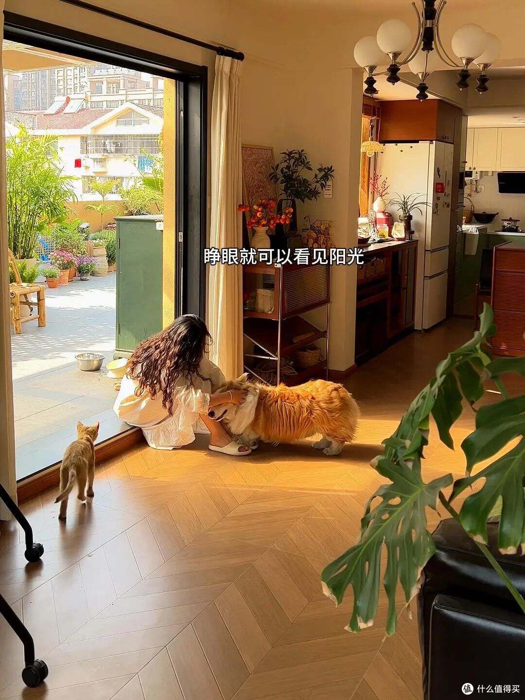 一楼住了5年,卖掉换到了顶楼,发现两者区别很大,还是顶楼好